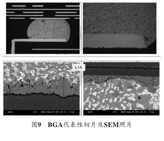 图9 BGA代表性切片及SEM照片