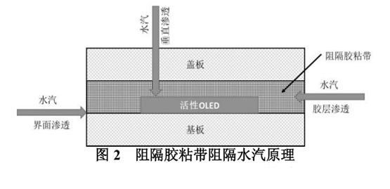 图2阻隔胶粘带阻隔水汽原理