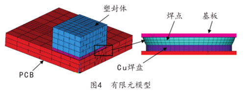 图4  有限元模型